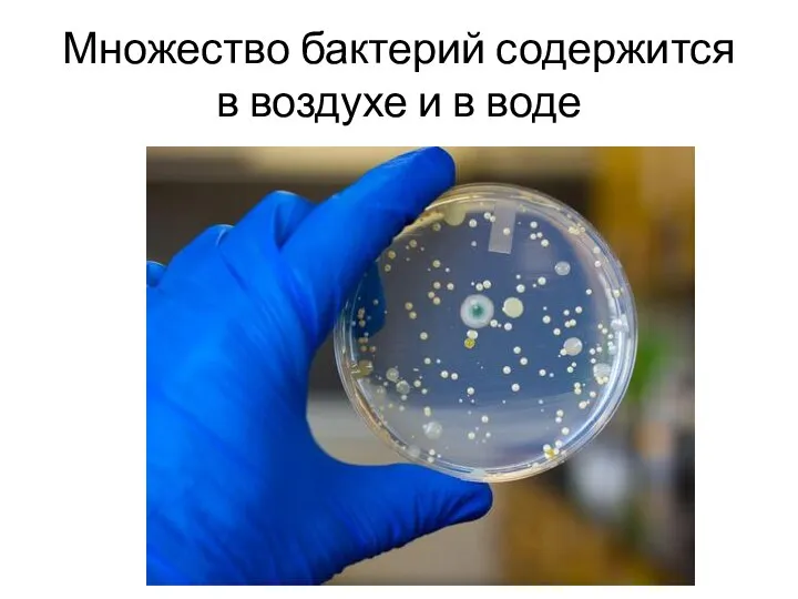 Множество бактерий содержится в воздухе и в воде
