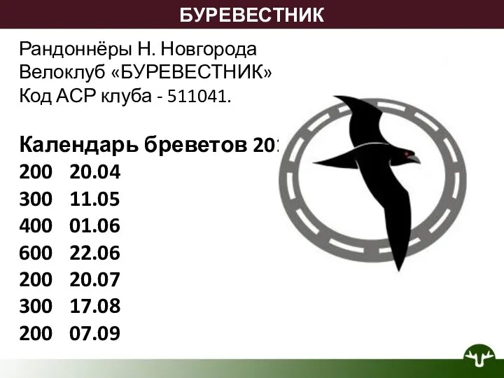 БУРЕВЕСТНИК Рандоннёры Н. Новгорода Велоклуб «БУРЕВЕСТНИК» Код АСР клуба - 511041. Календарь