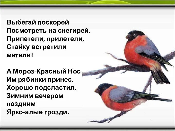 Выбегай поскорей Посмотреть на снегирей. Прилетели, прилетели, Стайку встретили метели! А Мороз-Красный