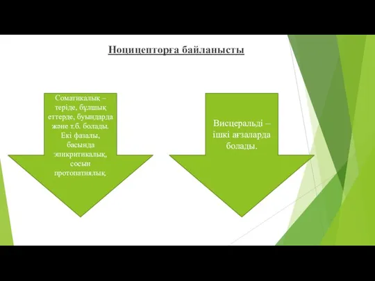 Ноцицепторға байланысты Соматикалық – теріде, бұлшық еттерде, буындарда және т.б. болады. Екі