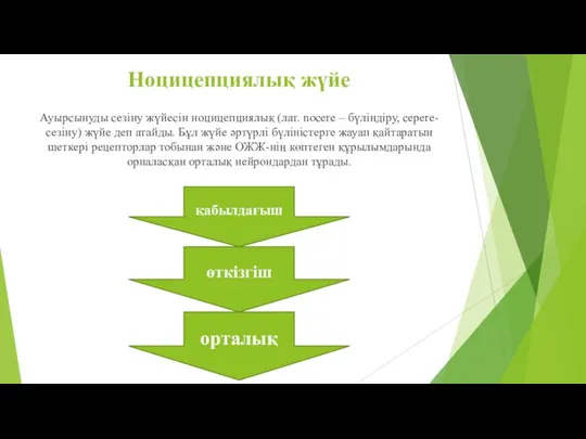 Ноцицепциялық жүйе Ауырсынуды сезіну жүйесін ноцицепциялық (лат. nocere – бүліндіру, cepere- сезіну)