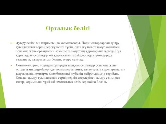 Орталық бөлігі Ауыру сезімі ми қыртысында қалыптасады. Ноцицепторлардан ауыру туындататын серпіндер жұлынға