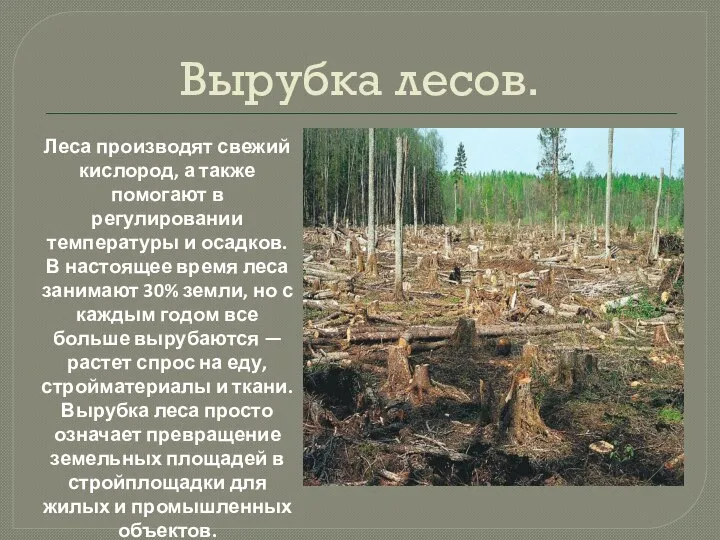 Вырубка лесов. Леса производят свежий кислород, а также помогают в регулировании температуры