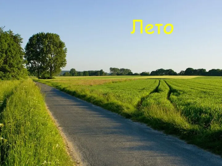 Лето Лето