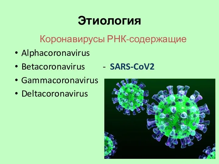 Этиология Коронавирусы РНК-содержащие Alphacoronavirus Betacoronavirus - SARS-CoV2 Gammacoronavirus Deltacoronavirus