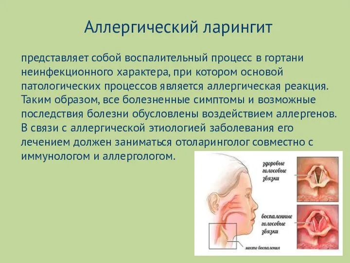 Аллергический ларингит представляет собой воспалительный процесс в гортани неинфекционного характера, при котором