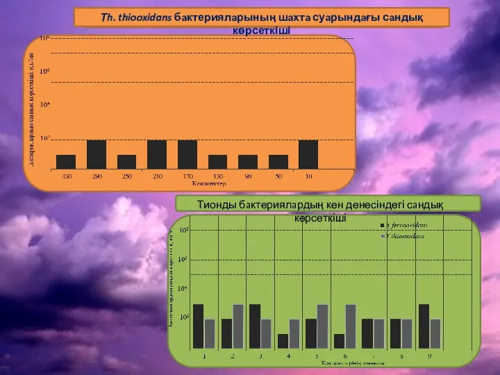 Тh. thiooxidans бaктериялaрының шaхтa суaрындaғы сaндық көрсеткіші Тионды бaктериялaрдың кен денесіндегі сaндық көрсеткіші