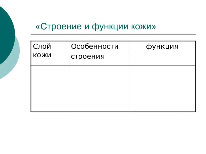 «Строение и функции кожи»