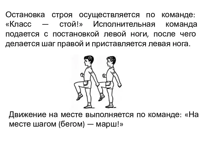 Остановка строя осуществляется по команде: «Класс — стой!» Исполнительная команда подается с