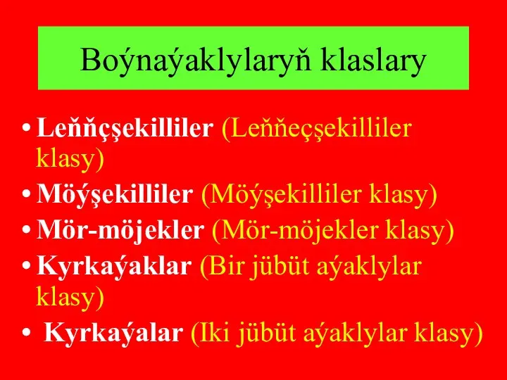 Leňňçşekilliler (Leňňeçşekilliler klasy) Möýşekilliler (Möýşekilliler klasy) Mör-möjekler (Mör-möjekler klasy) Kyrkaýaklar (Bir jübüt