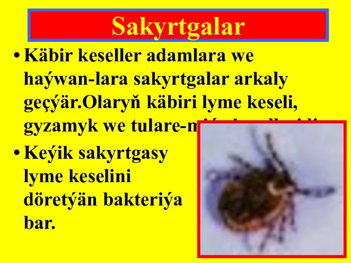 Käbir keseller adamlara we haýwan-lara sakyrtgalar arkaly geçýär.Olaryň käbiri lyme keseli, gyzamyk