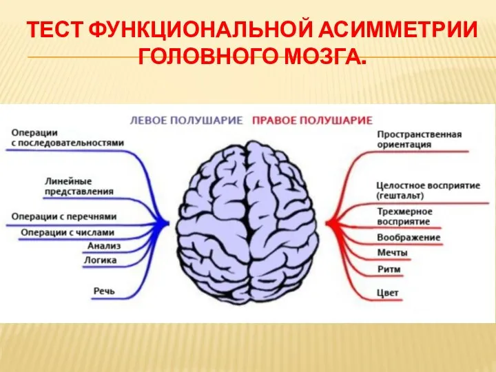 ТЕСТ ФУНКЦИОНАЛЬНОЙ АСИММЕТРИИ ГОЛОВНОГО МОЗГА.