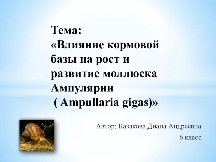 Автор: Казакова Диана Андреевна 6 класс Тема: «Влияние кормовой базы на рост