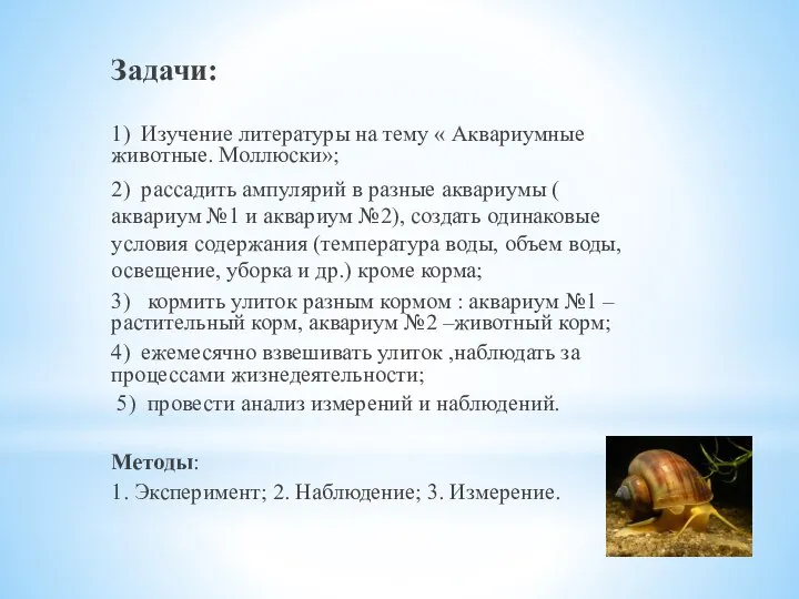 Задачи: 1) Изучение литературы на тему « Аквариумные животные. Моллюски»; 2) рассадить