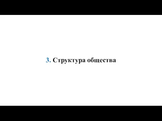 3. Структура общества