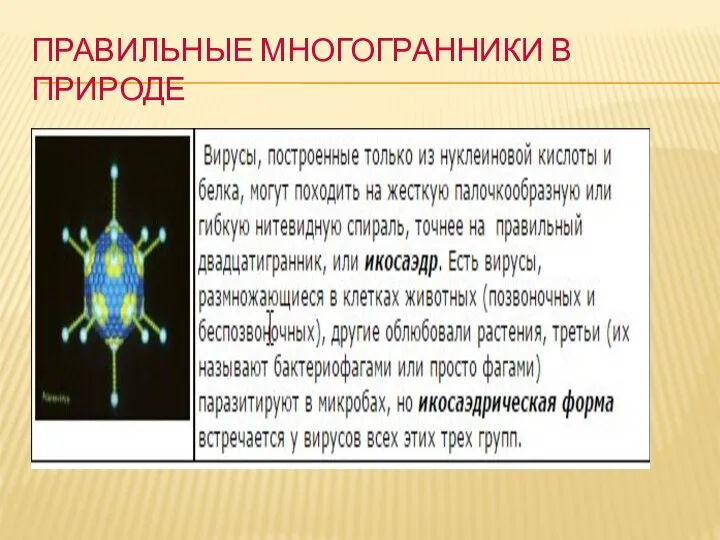 ПРАВИЛЬНЫЕ МНОГОГРАННИКИ В ПРИРОДЕ