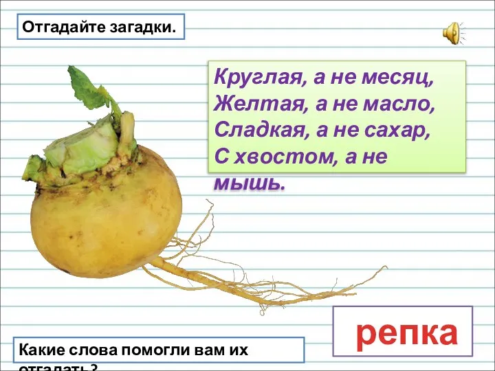 Круглая, а не месяц, Желтая, а не масло, Сладкая, а не сахар,