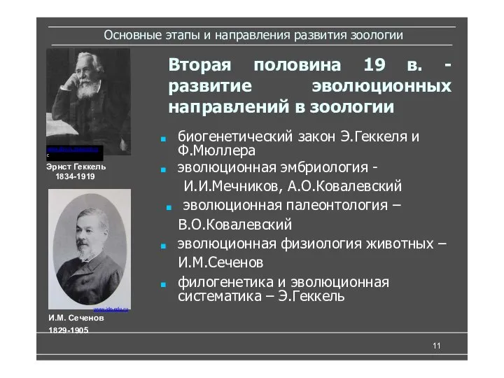 Основные этапы и направления развития зоологии биогенетический закон Э.Геккеля и Ф.Мюллера эволюционная