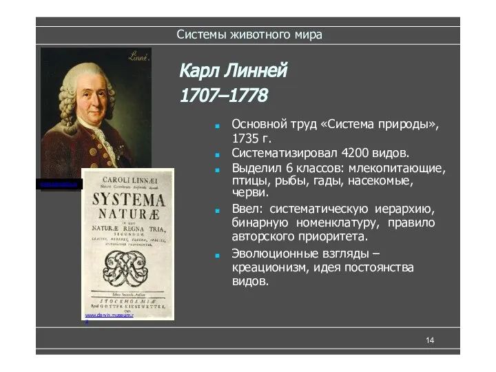 Системы животного мира Основной труд «Система природы», 1735 г. Систематизировал 4200 видов.