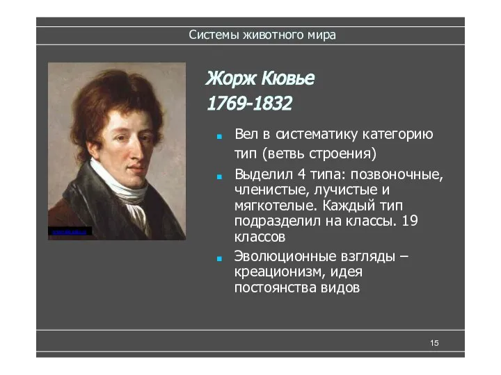 Системы животного мира Вел в систематику категорию тип (ветвь строения) Выделил 4