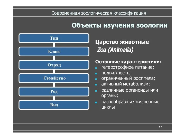 Современная зоологическая классификация Царство животные Zoa (Animalia) Основные характеристики: гетеротрофное питание; подвижность;