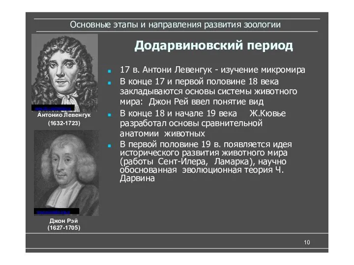 Основные этапы и направления развития зоологии 17 в. Антони Левенгук - изучение