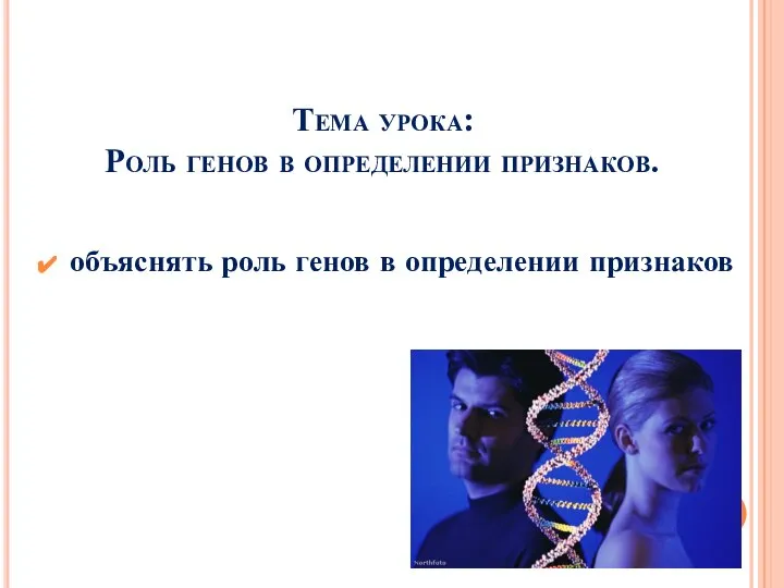 Тема урока: Роль генов в определении признаков. объяснять роль генов в определении признаков