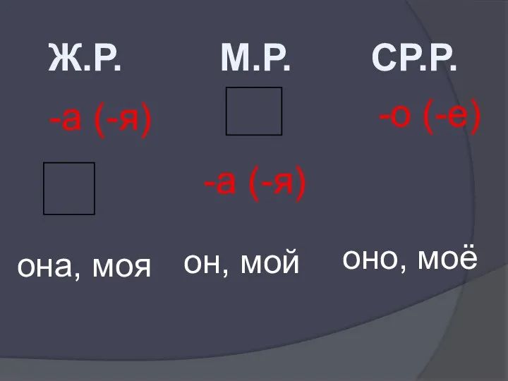 СР.Р. М.Р. Ж.Р. -а (-я) -а (-я) -о (-е) она, моя он, мой оно, моё