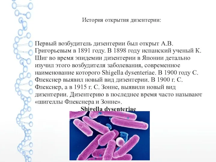 История открытия дизентерии: Первый возбудитель дизентерии был открыт А.В. Григорьевым в 1891