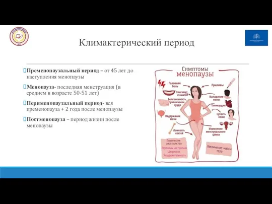 Климактерический период Пременопаузальный период – от 45 лет до наступления менопаузы Менопауза-