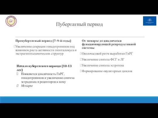 Пубертатный период Препубертатный период (7-9-й годы) Увеличение секреции гонадотропинов под влиянием роста