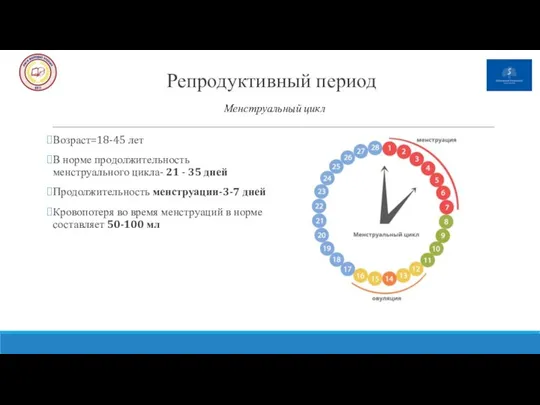 Репродуктивный период Возраст=18-45 лет В норме продолжительность менструального цикла- 21 - 35