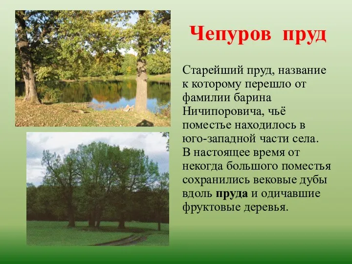 Чепуров пруд Старейший пруд, название к которому перешло от фамилии барина Ничипоровича,