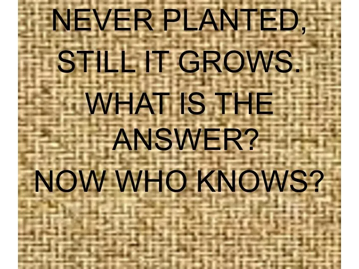 NEVER PLANTED, STILL IT GROWS. WHAT IS THE ANSWER? NOW WHO KNOWS?