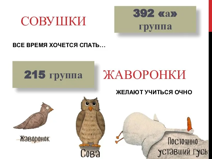 СОВУШКИ ВСЕ ВРЕМЯ ХОЧЕТСЯ СПАТЬ… 392 «а» группа 215 группа ЖАВОРОНКИ ЖЕЛАЮТ УЧИТЬСЯ ОЧНО