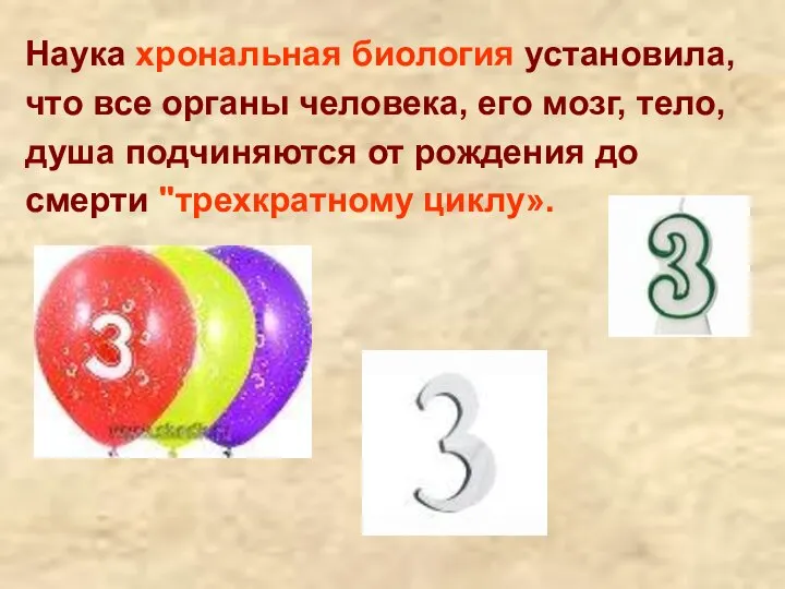 Наука хрональная биология установила, что все органы человека, его мозг, тело, душа