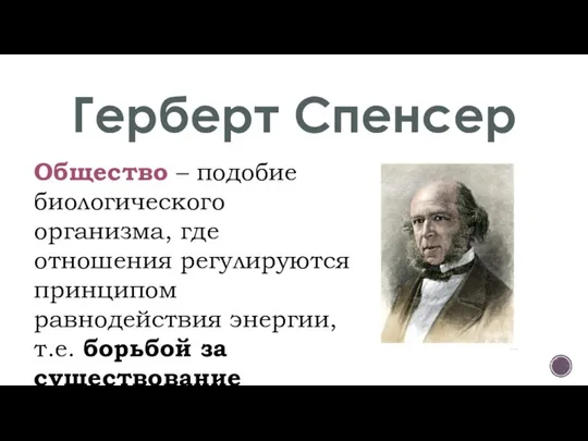 Герберт Спенсер Общество – подобие биологического организма, где отношения регулируются принципом равнодействия