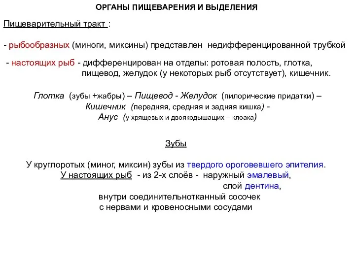 ОРГАНЫ ПИЩЕВАРЕНИЯ И ВЫДЕЛЕНИЯ Пищеварительный тракт : - рыбообразных (миноги, миксины) представлен