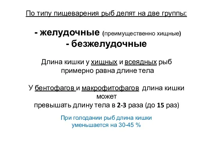 По типу пищеварения рыб делят на две группы: - желудочные (преимущественно хищные)