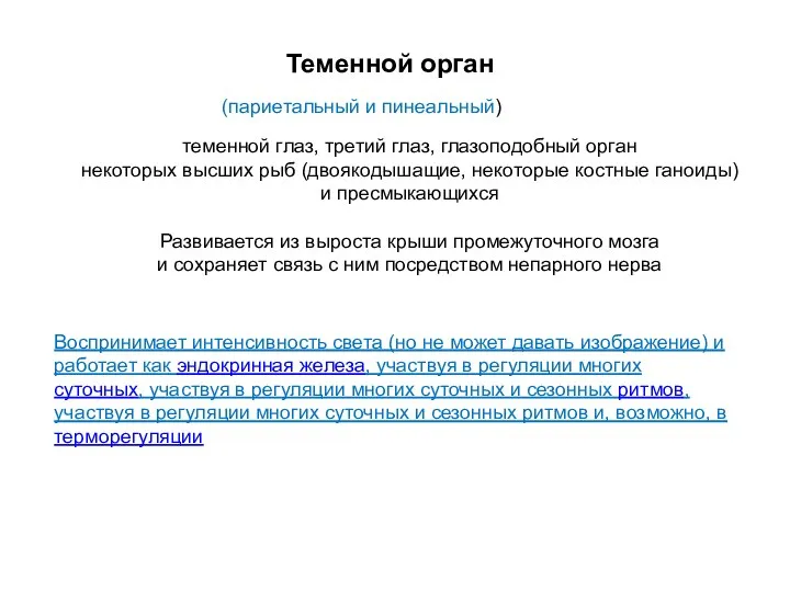 Теменной орган теменной глаз, третий глаз, глазоподобный орган некоторых высших рыб (двоякодышащие,