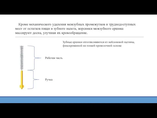 Кроме механического удаления межзубных промежутков и труднодоступных мест от остатков пищи и