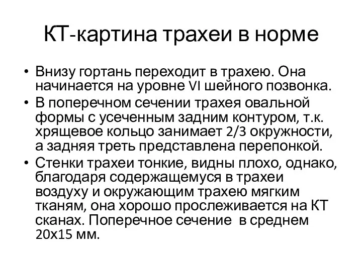 КТ-картина трахеи в норме Внизу гортань переходит в трахею. Она начинается на