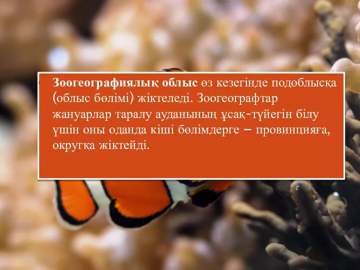 Зоогеографиялық облыс өз кезегінде подоблысқа (облыс бөлімі) жіктеледі. Зоогеографтар жануарлар таралу ауданының