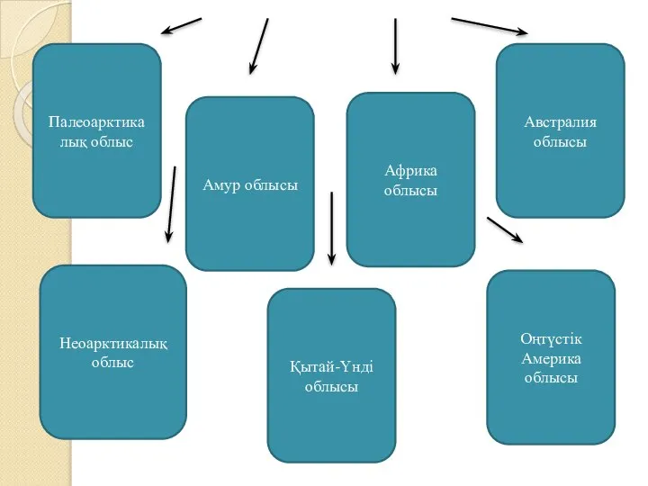 Палеоарктикалық облыс Қытай-Үнді облысы Амур облысы Оңтүстік Америка облысы Австралия облысы Африка облысы Неоарктикалық облыс