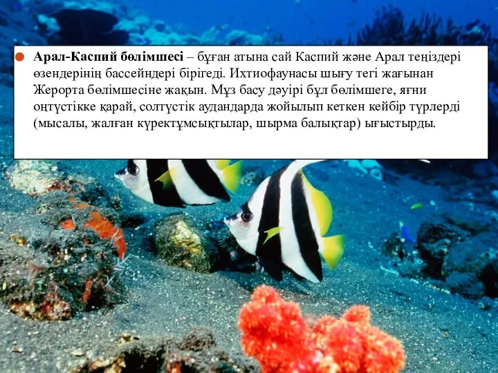 Арал-Каспий бөлімшесі – бұған атына сай Каспий және Арал теңіздері өзендерінің бассейндері