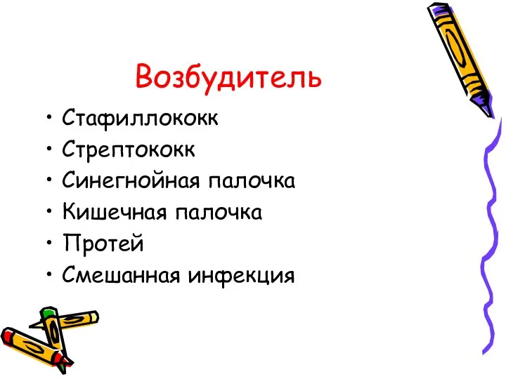 Возбудитель Стафиллококк Стрептококк Синегнойная палочка Кишечная палочка Протей Смешанная инфекция