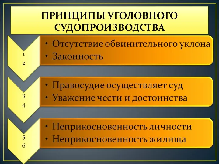 ПРИНЦИПЫ УГОЛОВНОГО СУДОПРОИЗВОДСТВА