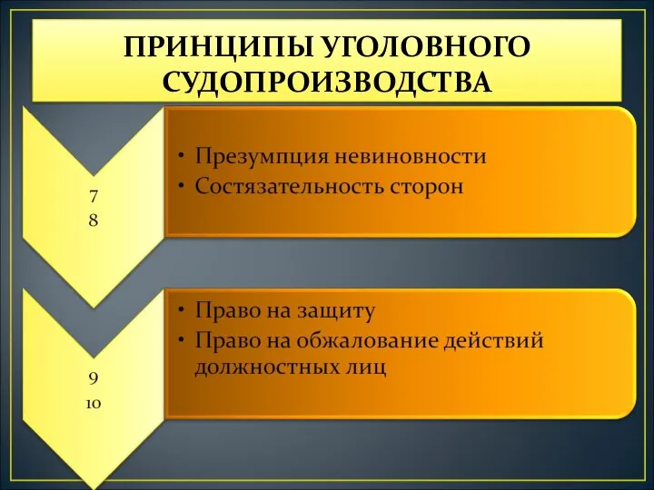 ПРИНЦИПЫ УГОЛОВНОГО СУДОПРОИЗВОДСТВА