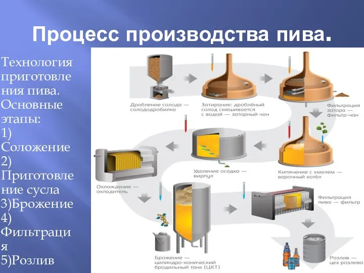 Процесс производства пива. Технология приготовления пива. Основные этапы: 1)Соложение 2)Приготовление сусла 3)Брожение 4)Фильтрация 5)Розлив