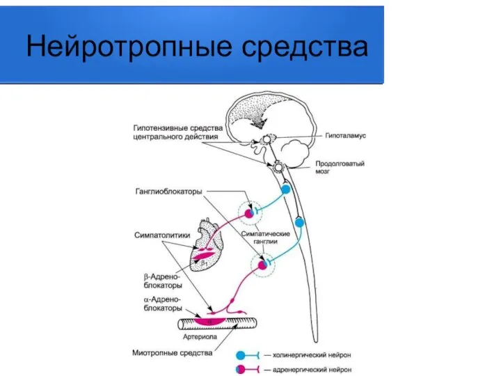 Нейротропные средства